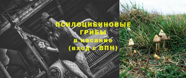 стафф Магадан