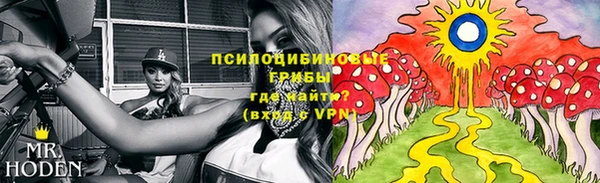стафф Магадан