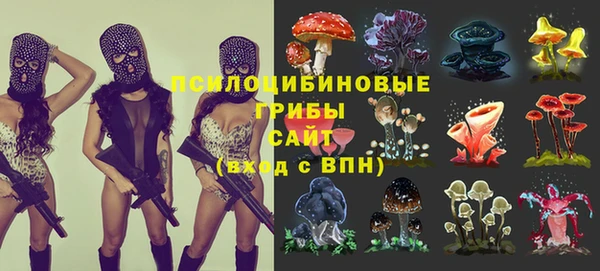 молекула духа Магас
