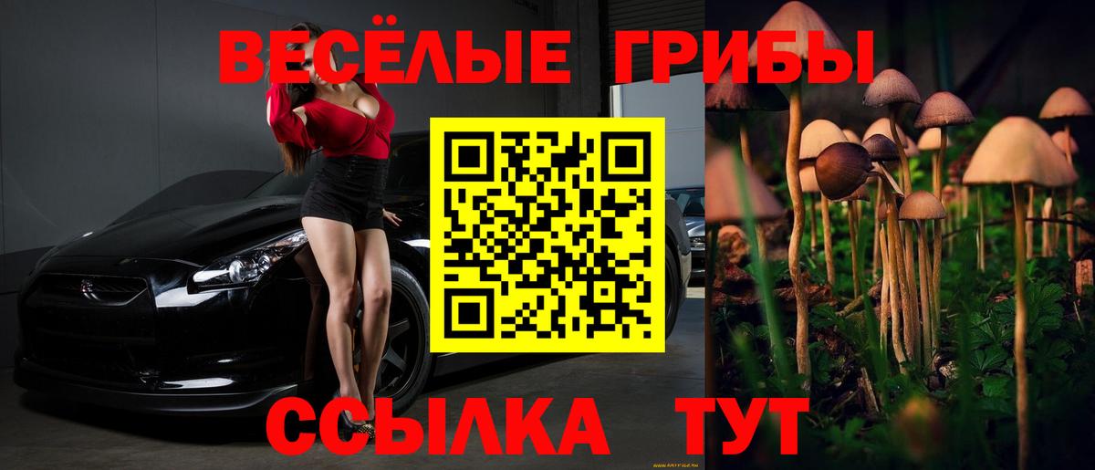 Галлюциногенные грибы Cubensis Кириши