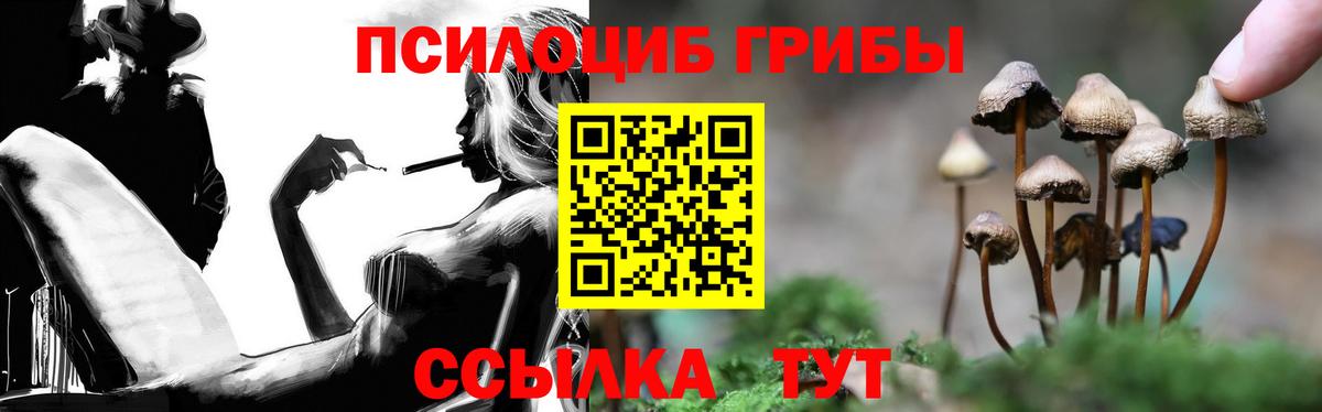 Кириши  Псилоцибиновые грибы MAGIC MUSHROOMS  Вход с VPN 