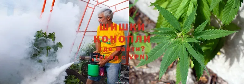 купить закладку  Кириши  Канабис THC 21% 