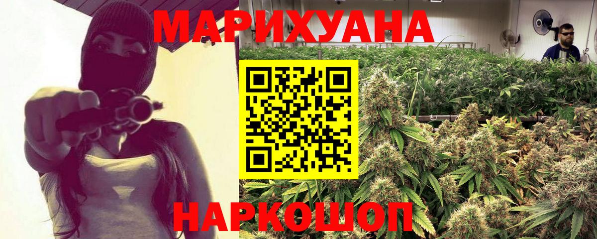 Каннабис индика Кириши
